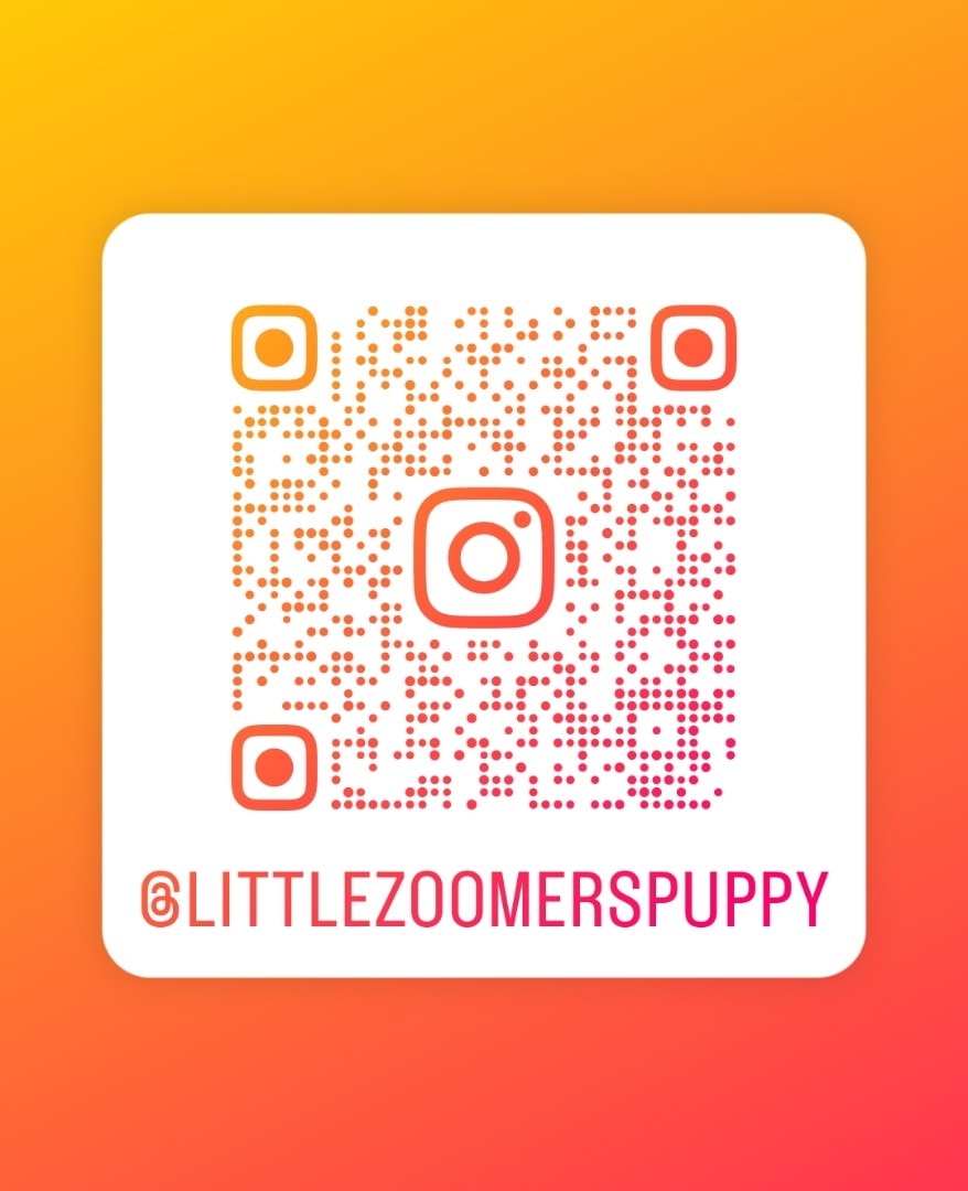 Instagram QR code for @LITTLEZOOMERSPUPPY